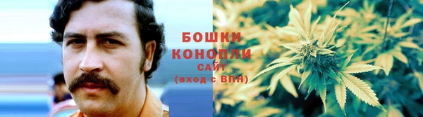 ГАЛЛЮЦИНОГЕННЫЕ ГРИБЫ Алексин
