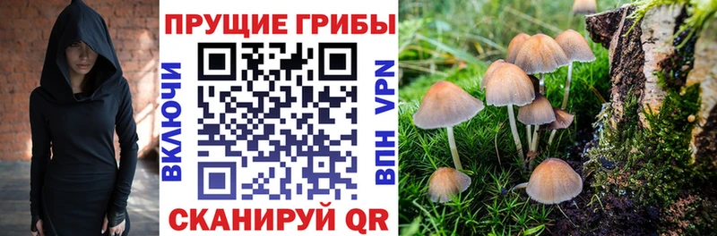 Псилоцибиновые грибы Magic Shrooms  Среднеколымск 