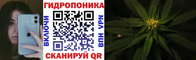 купить наркотики сайты  Среднеколымск  Бошки Шишки индика 